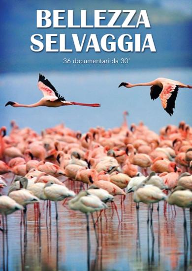 bellezza-selvaggia