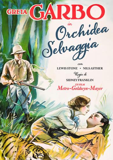 orchidea-selvaggia