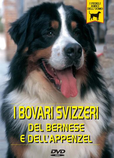 bovari-svizzeri-del-bernese-e-dell-appenzel