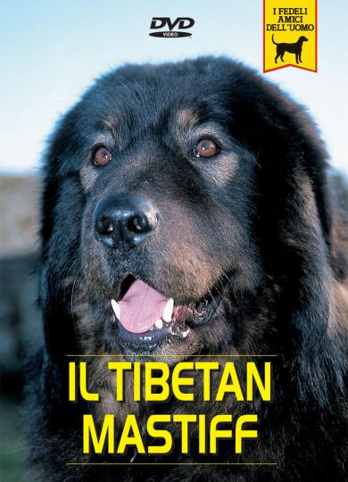 mastino-tibetano
