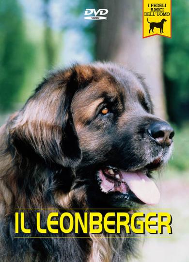 leonberger