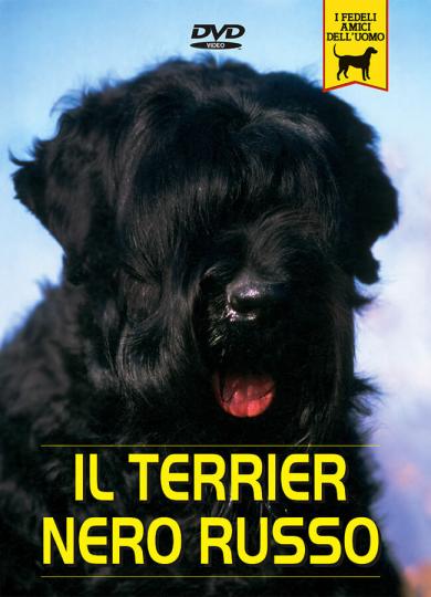 terrier-nero-russo