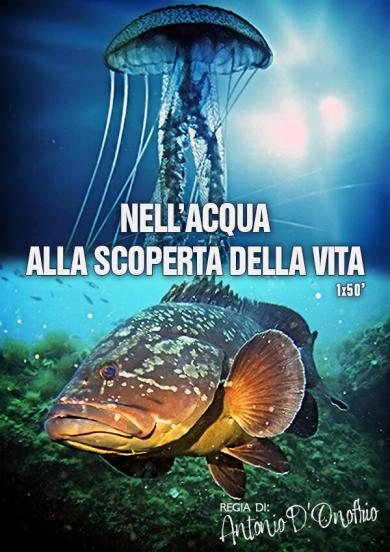 nell-acqua-alla-scoperta-della-vita