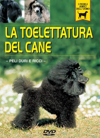 toelettatura-del-cane-peli-duri-ricci