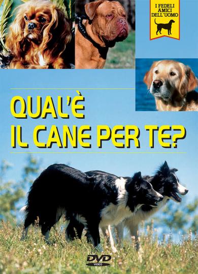 quale-cane-per-te