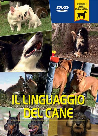 linguaggio-del-cane