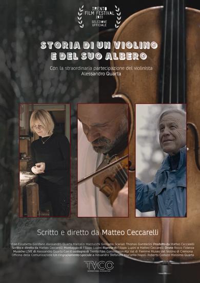 storia-di-un-violino-e-del-suo-albero