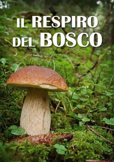 il-respiro-del-bosco