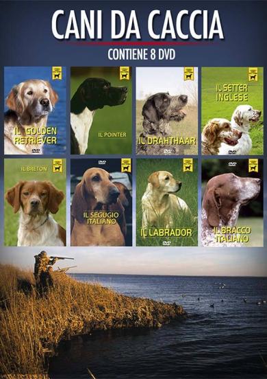 promozione-cani-da-caccia
