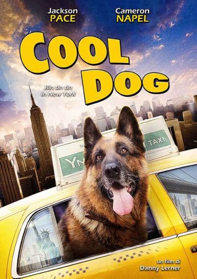 cool_dog_rin_tin_tin_a_new_york