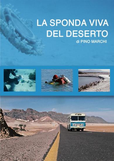 la-sponda-viva-del-deserto