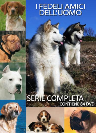 i-fedeli-amici-dell-uomo-serie-completa