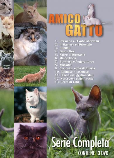 promozione-amico-gatto-serie-completa