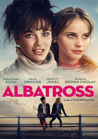 albatross