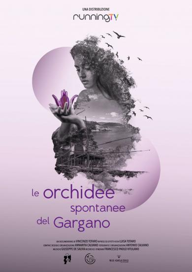 orchidee_spontanee_gargano