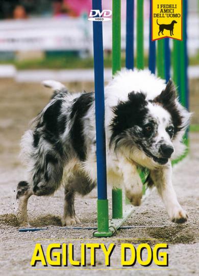 agility-dog