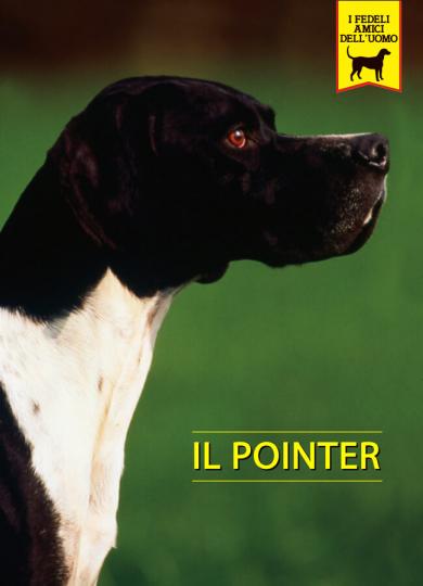 pointer