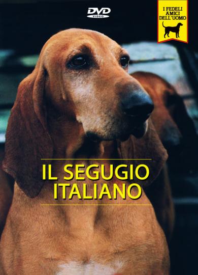 segugio-italiano