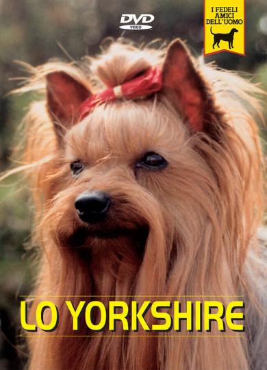 yorkshire