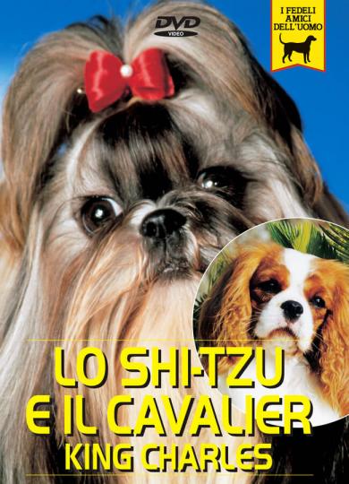 shi-tzu-cavalier-king-charles-spaniel