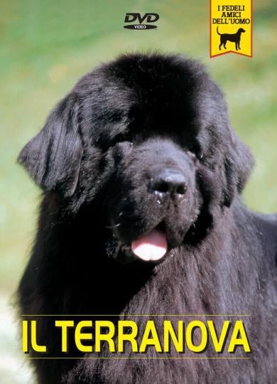 terranova