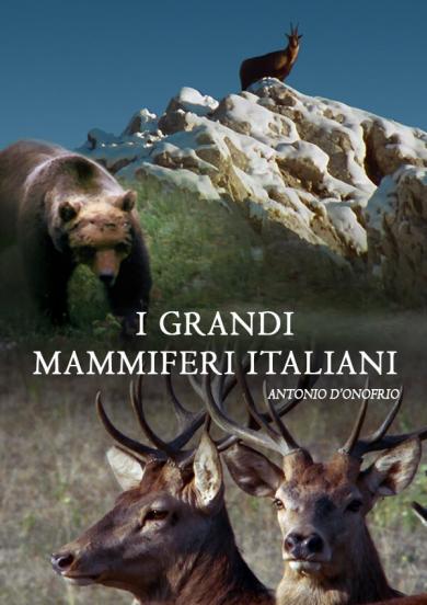 i-grandi-mammiferi-italiani