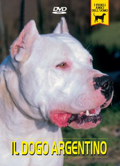 dogo-argentino