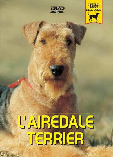 airedale-terrier