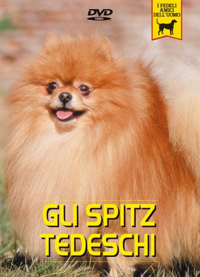 spitz-tedesco