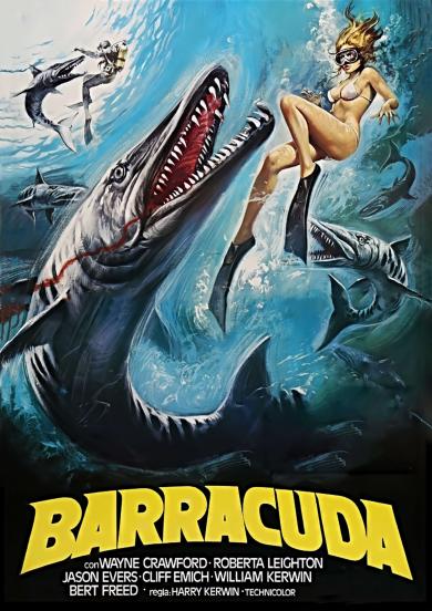 barracuda