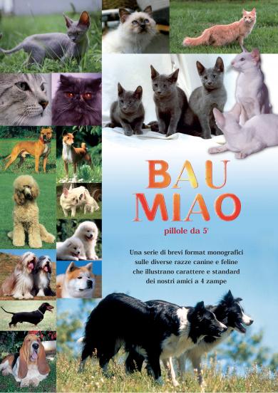bau_e_miao
